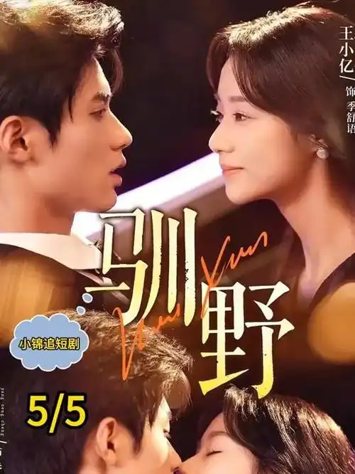 短剧《厉总夫人又跑了》竖屏海报